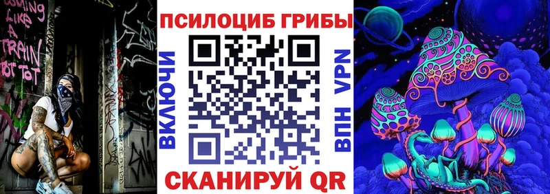 Псилоцибиновые грибы Psilocybine cubensis  Купить  Краснослободск 